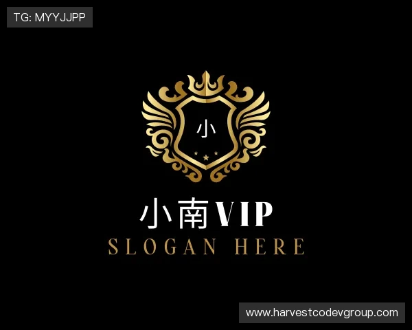 发现小南VIP